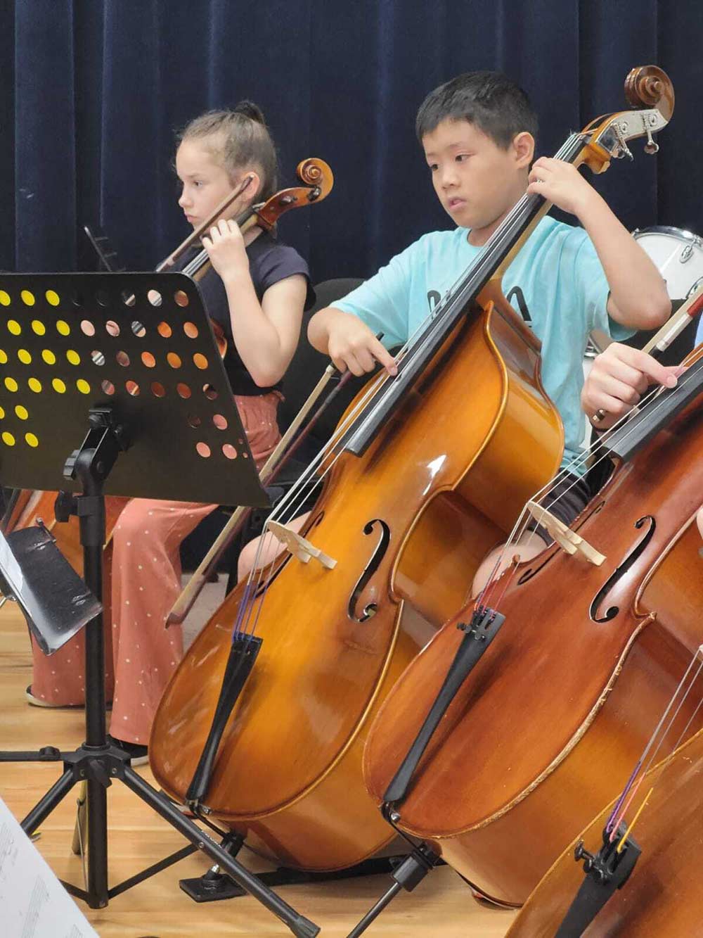 Cello and Double bass